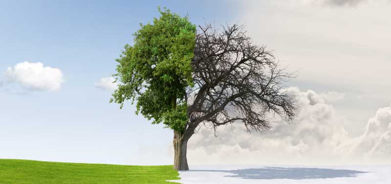 What is Change? Success Coaching Sydney